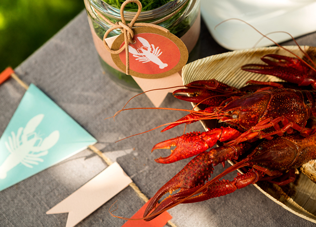 popupkemut-rapujuhlat-kattaus-idea