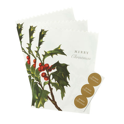 Botanical Christmas -paperipussit ja tarrat (8 kpl)