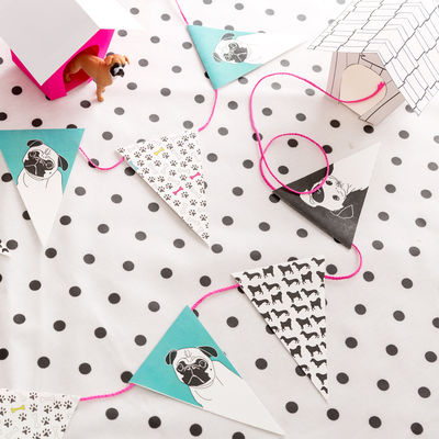 Koiramaiset kemut -viirit